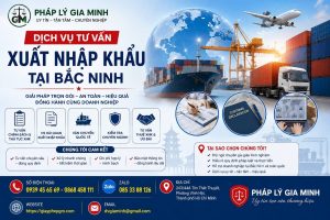 Dịch vụ tư vấn xuất nhập khẩu tại Bắc Ninh